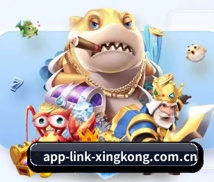 星空体育 APP 深度功能